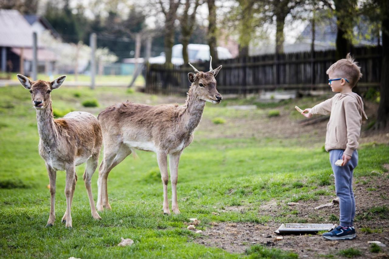 Domki Caloroczne Danielowa Ostoja-Zator,Palczowice Exteriör bild